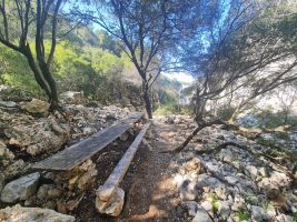 Porto Pedrosu mit zwei Büchsen Erbsli und Rüebli