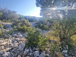 Steine wachsen auch auf Sardinien nicht auf Bäumen, also ein Wegzeichen!