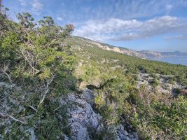 Verdreckte Felsen. Da muss es durch gehen! Hinten rechts leuchtet übrigens der kolossale Felssturz in der Biriolaflanke.