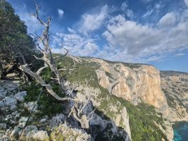 Dort muss ich hinüber!