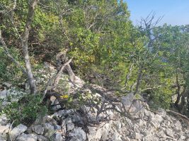 Wegzeichen! Steine wachsen auch auf Sardinien nicht auf den Bäumen.