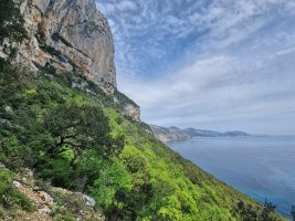 Noch eine bewaldete Flanke traversieren, und dann ist man bald in der Cala Sisine. Bis Cala Gonone ist es allerdings noch ein rechtes Stück.