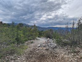 Oben bei der Wegkreuzung angekommen