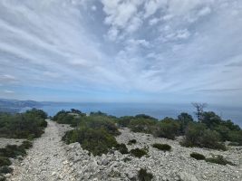 Grau, grün und blau