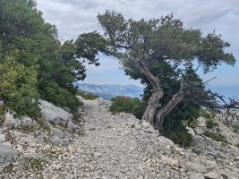 Hereinspaziert, es ist (scheinbar) nicht mehr weit!