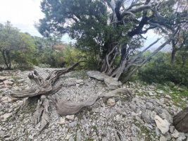 Sehr gepflegte Anlage