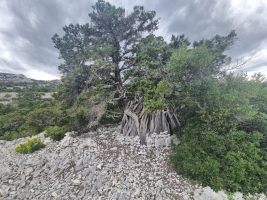 Diverse kleine Pferche