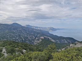 Immer dem Grat nach zum bewaldeten Sporn und dort links direkt hinunter führt ein abenteuerlicher Weg