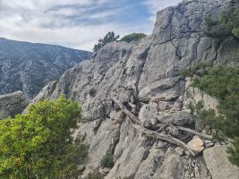 So behelfsmässig diese Baumkonstruktion auch aussehen mag, sie hält (selbstverständlich!).