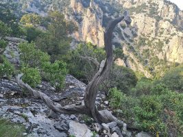 Fast schon übertrieben deutliche Markierung