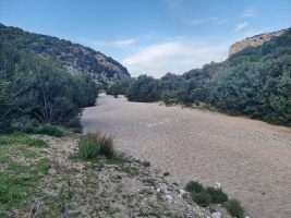 Der Sandboden ist recht mühsam zu belaufen.