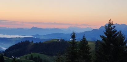 20220626_053101