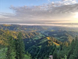 IMG_20220626_060420_DRO