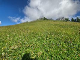 Bergfrühling!