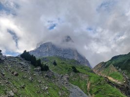 Blick zurück