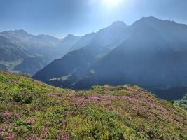 Hinten links Gross Düsse, rechts von der Mitte Oberalpstock