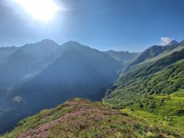 Etzlital unterhalb eines blühenden Heidekrautmeer