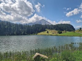 Blick zurück vom nächsten Badesee aus