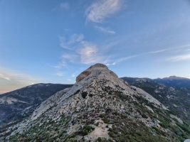 Plutonisches Gestein