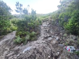 Alles immer gut markiert