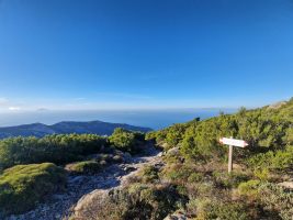 Was es wohl dort zu sehen gibt?