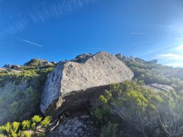 Irgendwie durch den Gemüsegarten zum Grat hoch