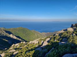 A microscopic dot on a microscopic dot on a microscopic dot.