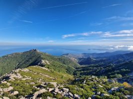 Blick auf die Nordküste hinunter