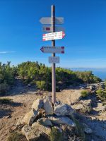 Hier laufen viele Wege zusammen