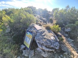 Warnung vor dem Weg 00!