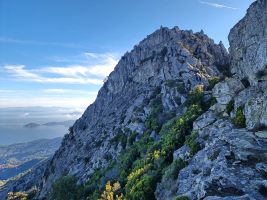 Kurz nordseitig auf einem breiten Band in die Scharte