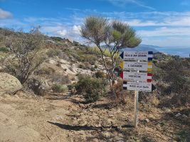 Elba setzt stark auf Mountain Bike-Touristen