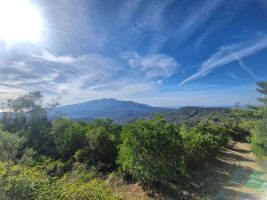 Der Monte Capanne dominiert die Szenerie gegen Westen