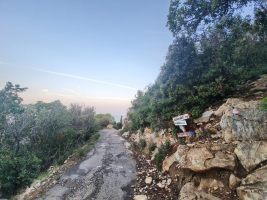 Die Strässchen eignen sich sehr gut für MTB-Aufstiege.