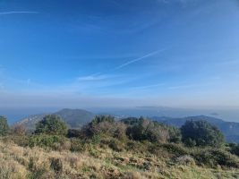 Letzter Blick auf die nordöstliche Landspitze