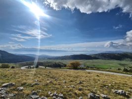 Urplötzlich im voralpinen Gelände!