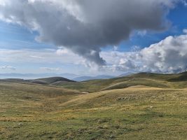Welch eigentümliche Landschaft erschliesst sich hier?