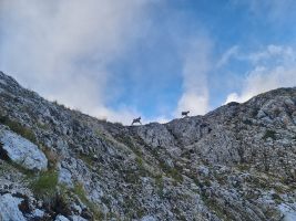 Mit vollem Anlauf auf die schuttbedeckten Bänder, um Steinschlag auszulösen!
