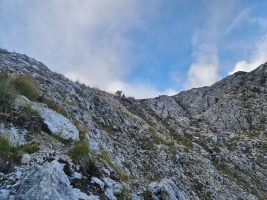 Nachher wieder hoch und dann weg. Saubande!