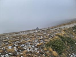 Nebliger Start in abenteuerliche Zeit