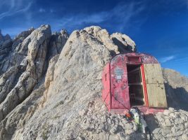 Ein Farbtupfer in silbergrauem Steinmeer