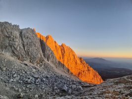 über grellorange ...