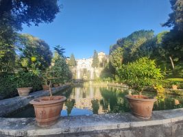 Wo die Zitronen blühen