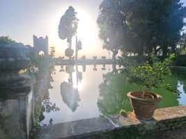 Stillleben im Grossen