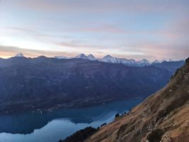 Auch im Berner Oberland werden sie langsam wach.