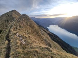 Steile Flanken gegen den Brienzersee hinab