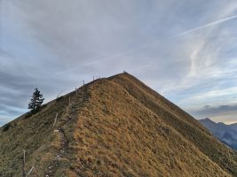 Hügel vor dem Gummhorn