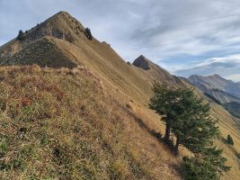 It´s a long way to the Rothorn! Und da stehen u.v.a.m noch das Allgäuw- und das Tannhorn dazwischen.