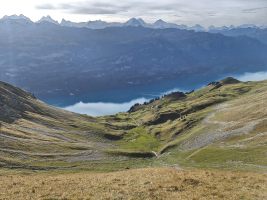 Die Steinhaufen zeugen von mühseliger Arbeit aus vergangenen Zeiten.