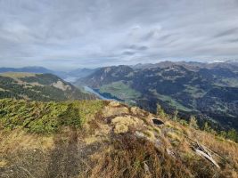 Urgesteinsvegetation am Wilerhorn